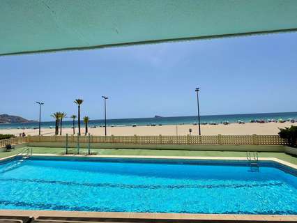 Apartamento en venta en Benidorm zona Playa Poniente