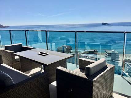 Apartamento en alquiler en Benidorm zona Playa Poniente