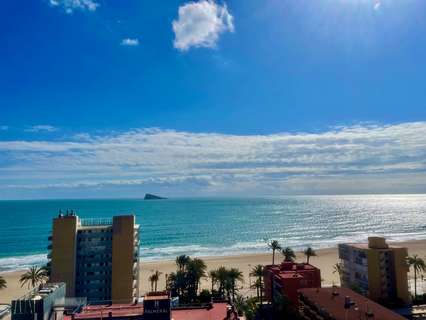 Apartamento en alquiler en Benidorm zona Playa Poniente rebajado