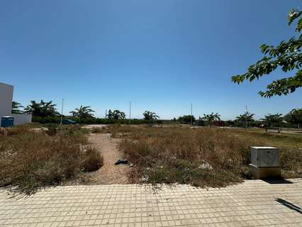 Parcela rústica en venta en Alfara del Patriarca