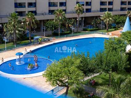 Apartamento en alquiler en Valencia