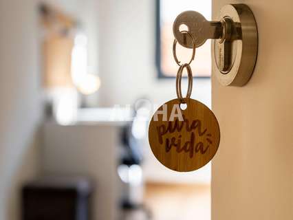 Piso en alquiler en Alfara del Patriarca