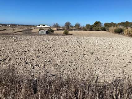 Parcela rústica en venta en Chiclana de la Frontera