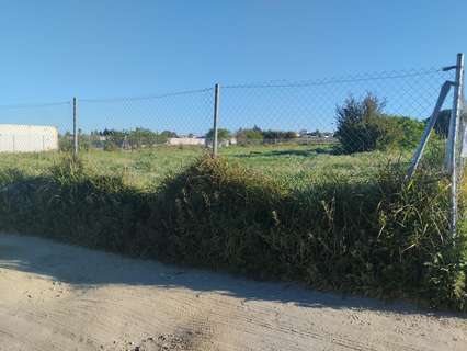Parcela rústica en venta en Chiclana de la Frontera