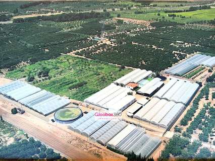 Parcela rústica en venta en Riudoms