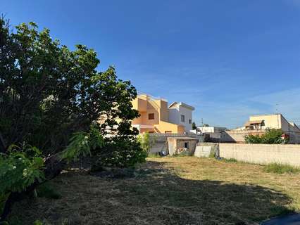 Parcela rústica en venta en Gandía