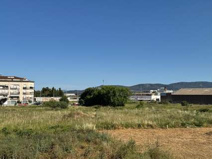 Parcela rústica en venta en Gandía