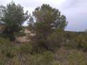Parcela urbana en venta en La Bisbal del Penedès