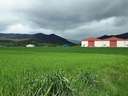 Parcela industrial en venta en La Puebla de Arganzón