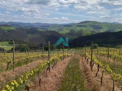 Parcela rústica en venta en Bárcena de Cicero