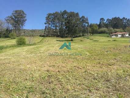 Parcela rústica en venta en Meruelo