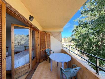 Estudio en venta en Torrevieja rebajado