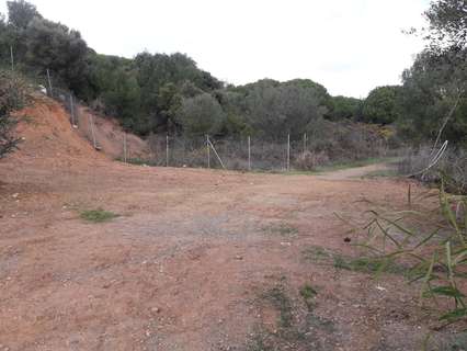 Parcela rústica en venta en Marbella