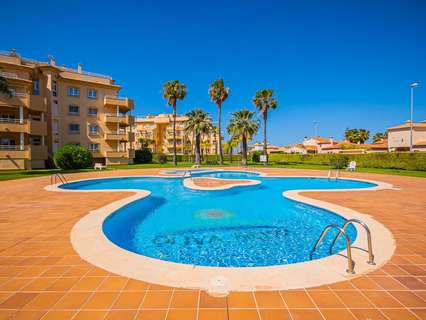 Apartamento en alquiler en Oliva rebajado