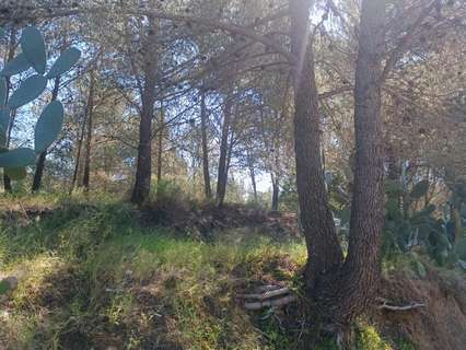 Parcela urbana en venta en Riudecols