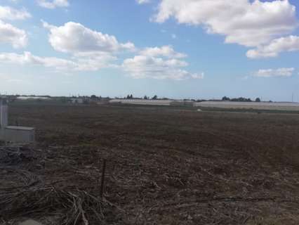 Parcela rústica en venta en Chiclana de la Frontera