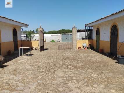Parcela rústica en venta en Chiclana de la Frontera