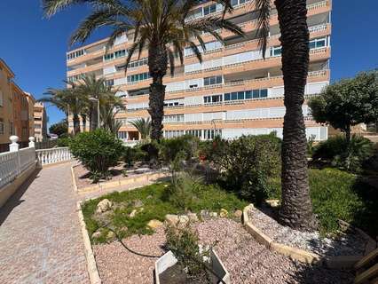 Estudio en venta en Torrevieja