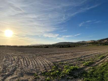 Parcela rústica en venta en Porreres