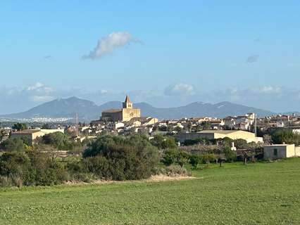 Parcela rústica en venta en Porreres