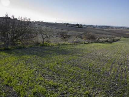 Parcela rústica en venta en Chiclana de la Frontera