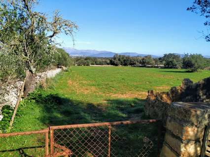 Parcela rústica en venta en Llubí