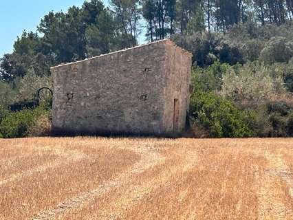 Parcela rústica en venta en Sineu