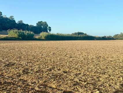 Parcela rústica en venta en Maria de la Salut