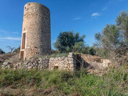 Parcela rústica en venta en Llubí