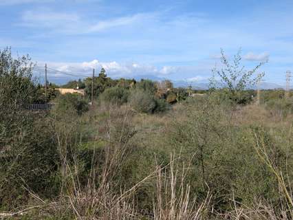 Parcela rústica en venta en Sineu