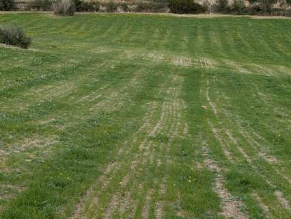 Parcela rústica en venta en Llubí