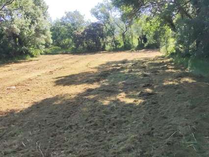 Parcela rústica en venta en Cubillos del Sil
