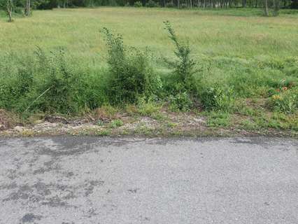 Parcela rústica en venta en Ponferrada