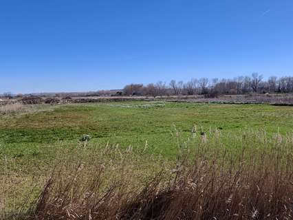 Parcela rústica en venta en Marcilla