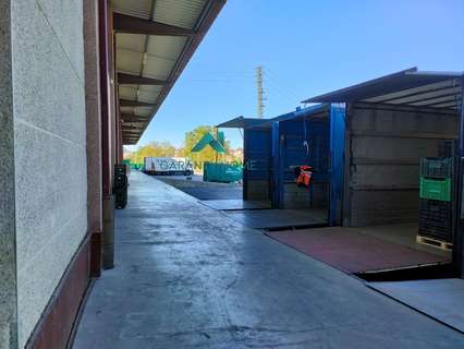 Nave industrial en venta en Donostia-San Sebastián