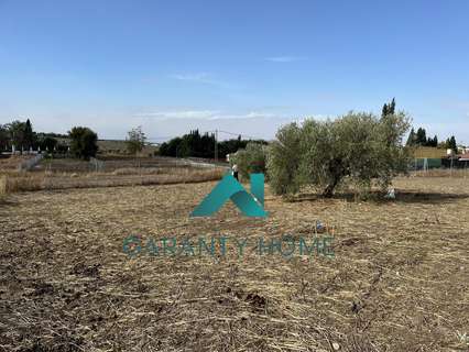 Parcela rústica en venta en Aguilar de la Frontera