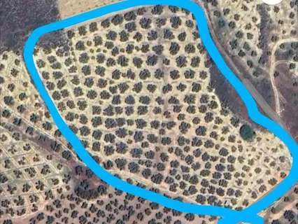 Parcela rústica en venta en Antequera