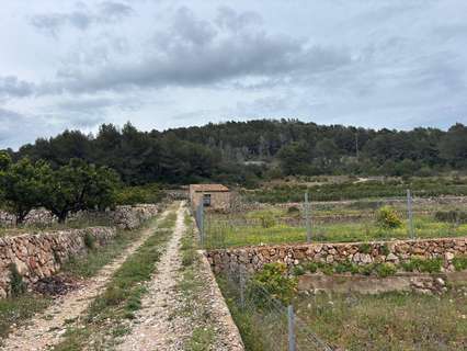 Parcela rústica en venta en Ador