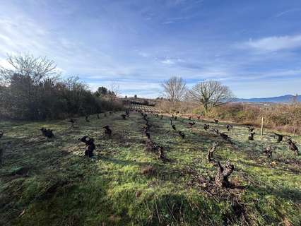 Parcela rústica en venta en Camponaraya