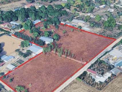 Parcela rústica en venta en Laguna de Duero