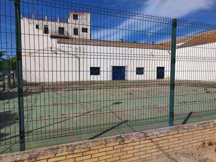 Parcela en venta en Isla Mayor rebajada