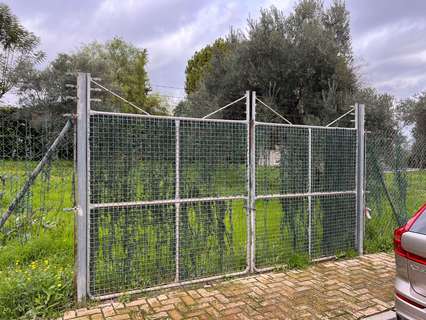 Parcela urbana en venta en Mairena del Aljarafe zona Cavaleri