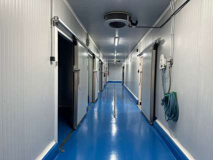 Nave industrial en alquiler en Bollullos de la Mitación