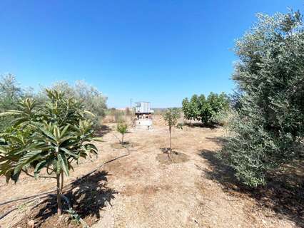 Parcela rústica en venta en Córdoba