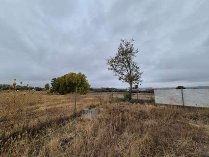 Parcela rústica en venta en El Carpio