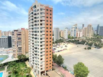 Apartamento en venta en Benidorm rebajado