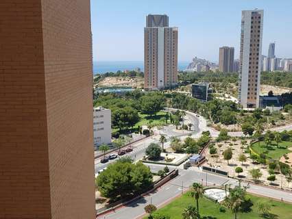 Apartamento en alquiler en Benidorm