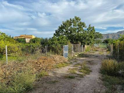 Parcela rústica en venta en Cartagena Los Dolores