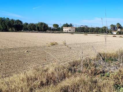 Parcela rústica en venta en Murcia zona El Palmar rebajada