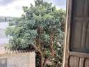 Casa en venta en Molina de Segura